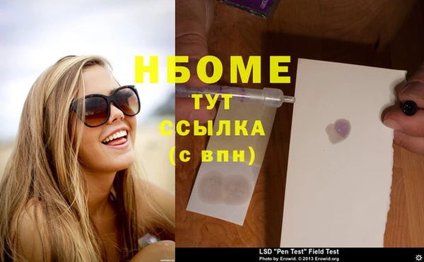 ГАЛЛЮЦИНОГЕННЫЕ ГРИБЫ Кукмор