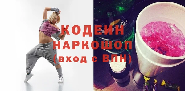 молекула духа Лабытнанги