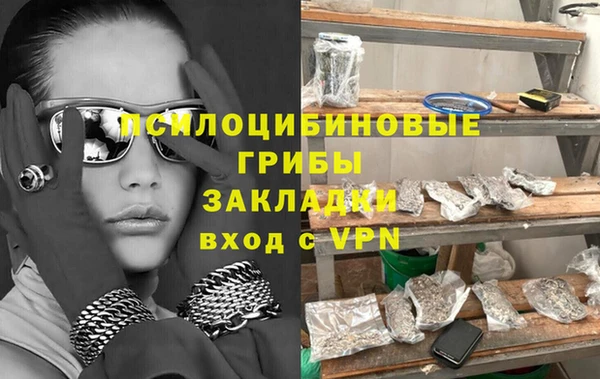 молекула духа Лабытнанги