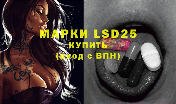 молекула духа Лабытнанги