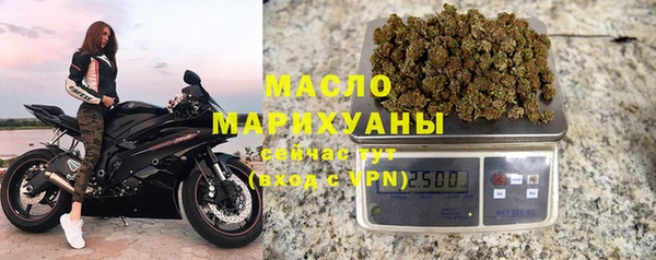 молекула духа Лабытнанги