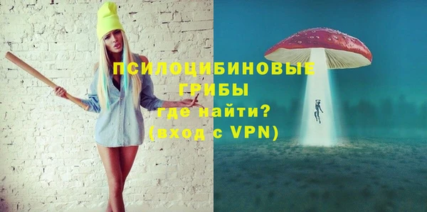 ГАЛЛЮЦИНОГЕННЫЕ ГРИБЫ Кукмор