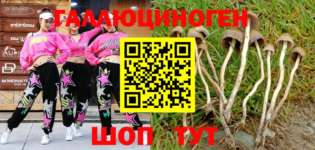 Псилоцибиновые грибы GOLDEN TEACHER  Псилоцибиновые грибы Psilocybine cubensis  Усинск 